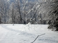 Quaker Hill Farm Disc Golf