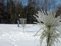 Quaker Hill Farm Disc Golf